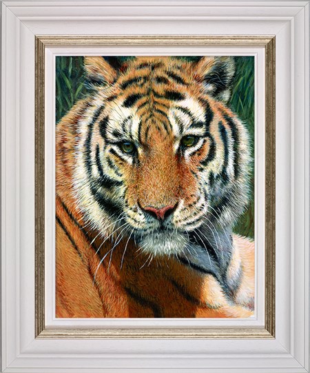 Wild Thing by Tony Forrest - Framed Canvas on Board